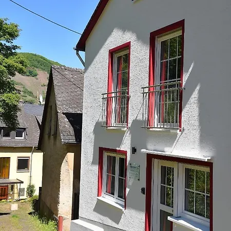 Apartment Ferienhaus Moselufer Uerzig